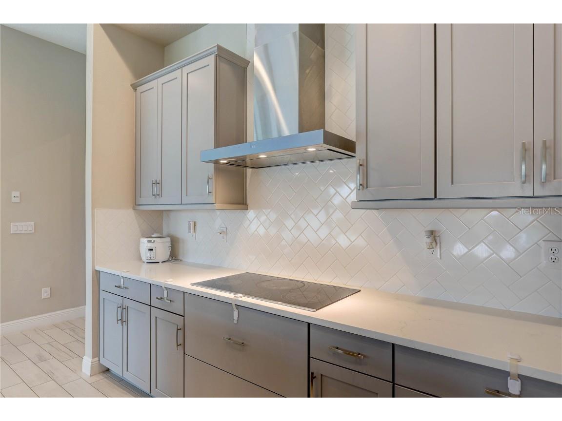 12744 Bergstrom Bay Drive Riverview FL 33579 TB8404133 image20