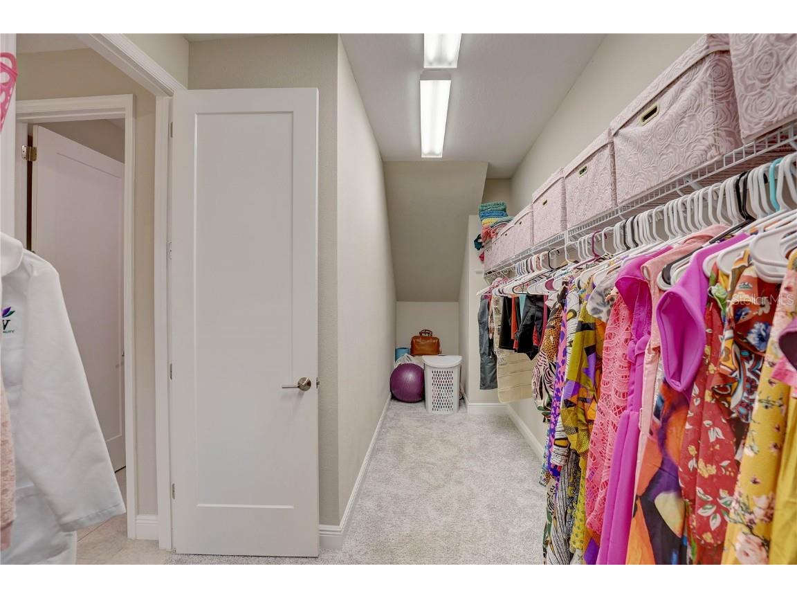 12744 Bergstrom Bay Drive Riverview FL 33579 TB8404133 image28