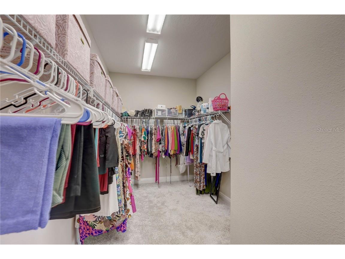 12744 Bergstrom Bay Drive Riverview FL 33579 TB8404133 image29