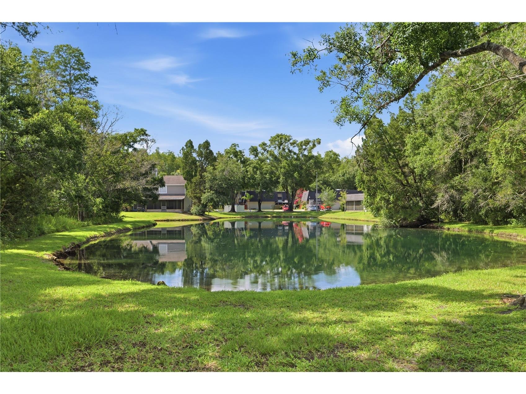12747 Sunland Court Tampa FL 33625 TB8515930 image27