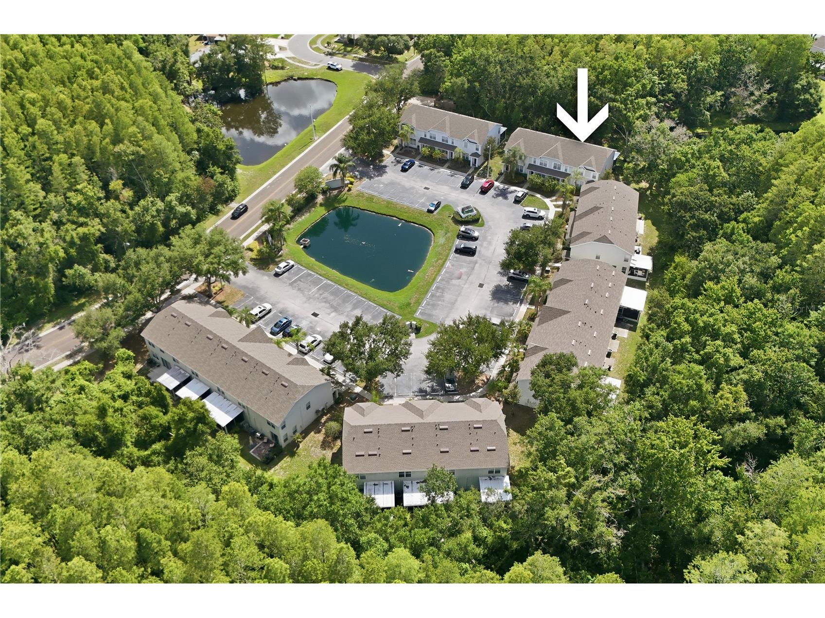 12747 Sunland Court Tampa FL 33625 TB8515930 image29