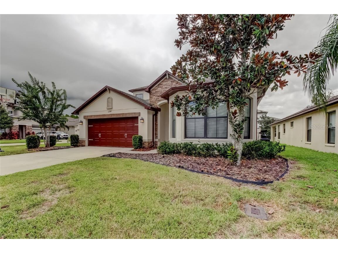 12747 Tikal Way Trinity FL 34655 TB8431568 image38