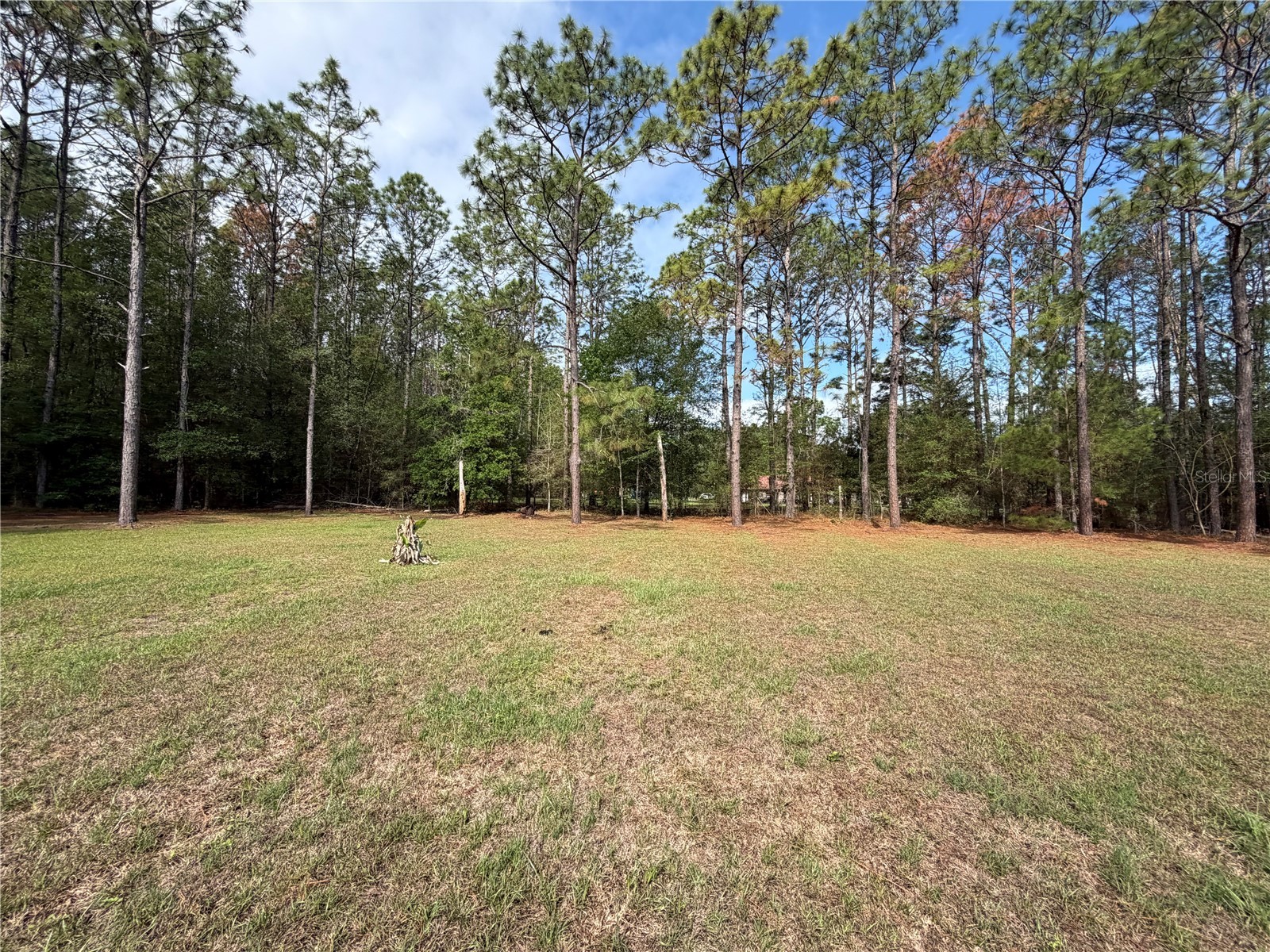 12748 NW 148th Terrace Alachua FL 32615 GC540301 image36