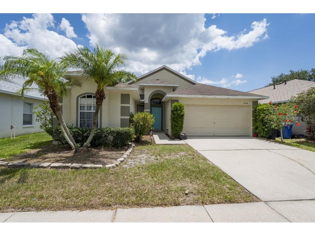 12748 Standbridge Drive Riverview FL 33579 T3528593 image1