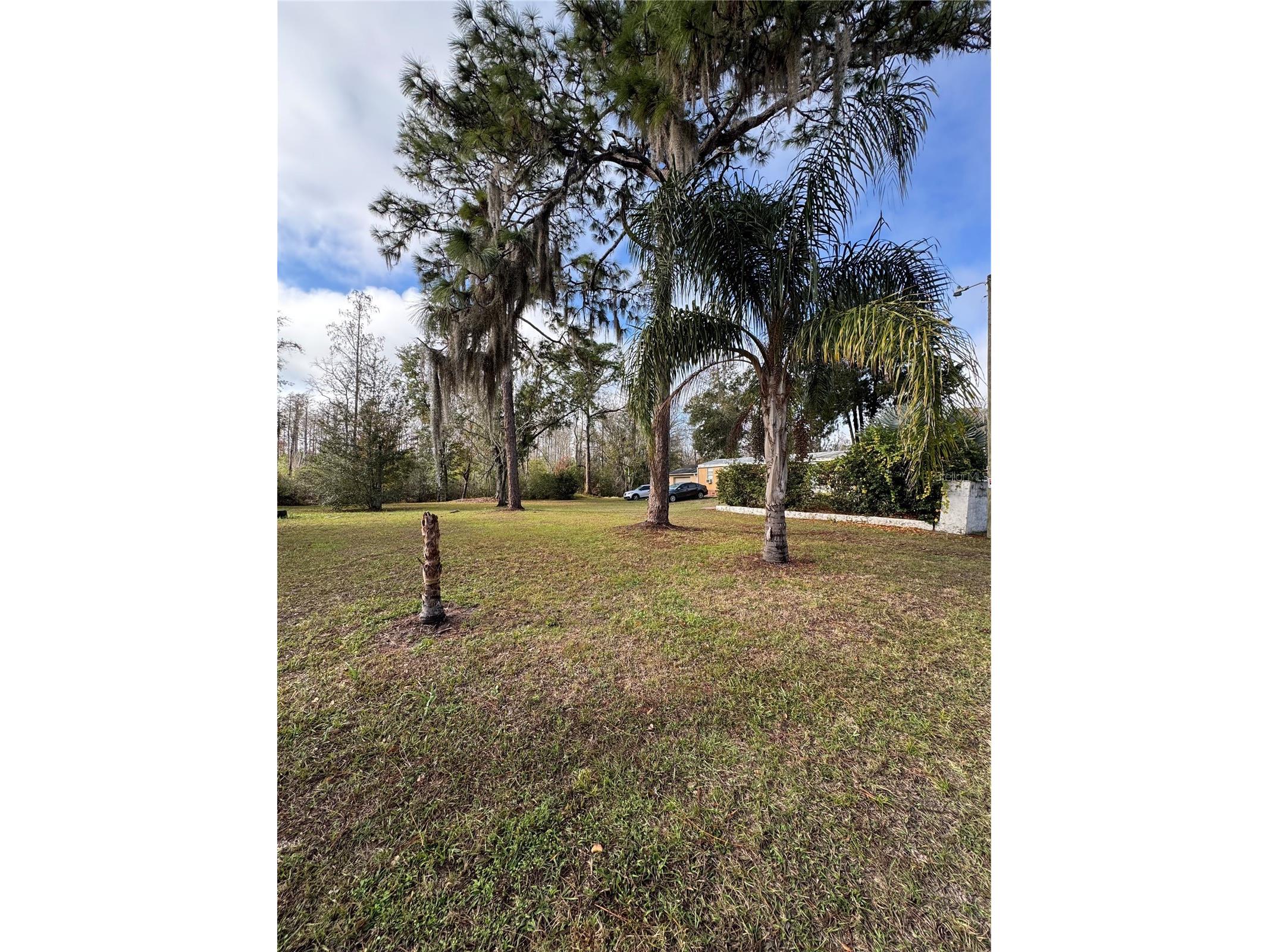 12748 Via Plaza Way New Port Richey FL 34654 TB8476979 image23