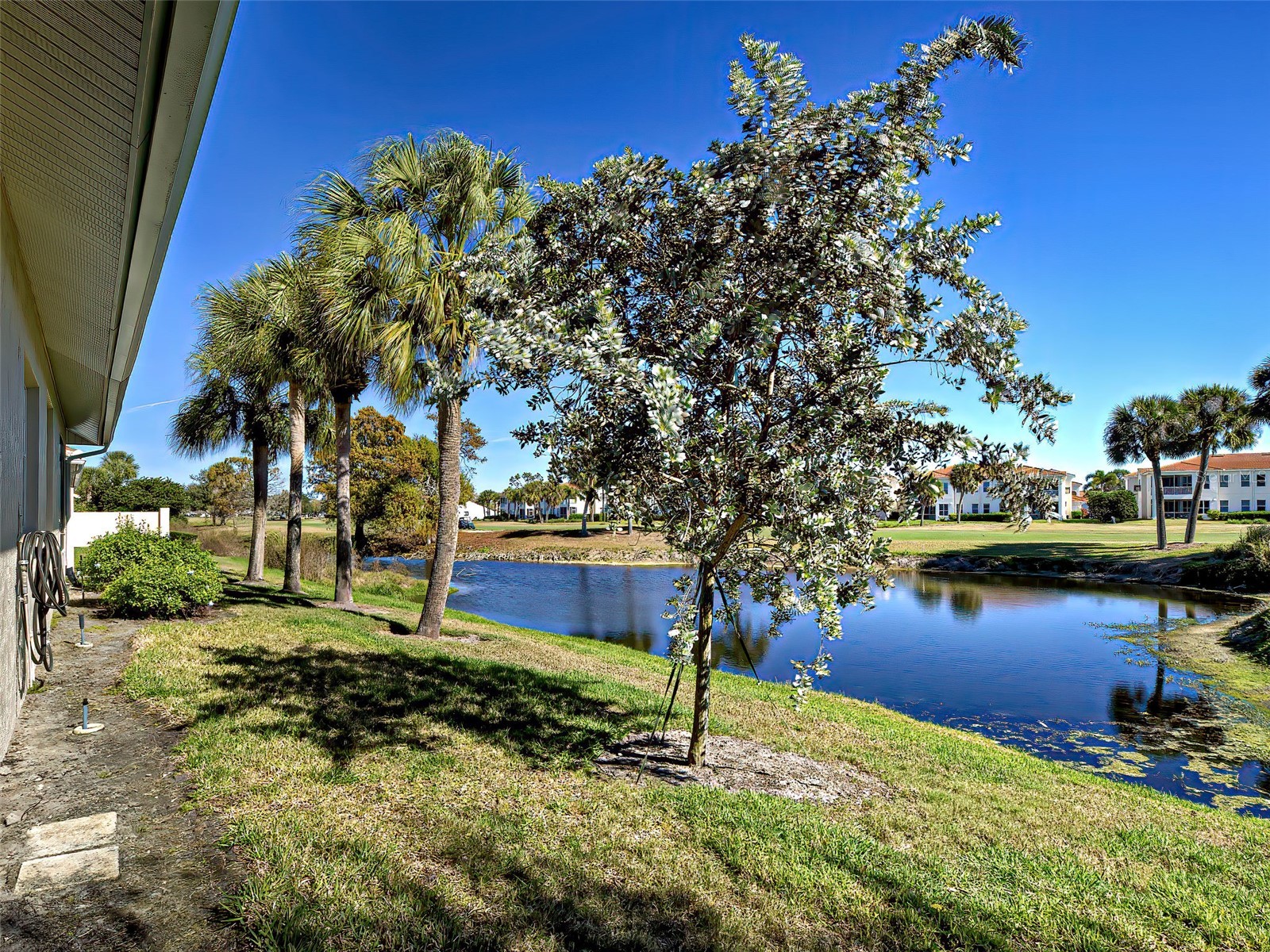 1275 Berkshire Circle Venice FL 34292 N6142498 image52