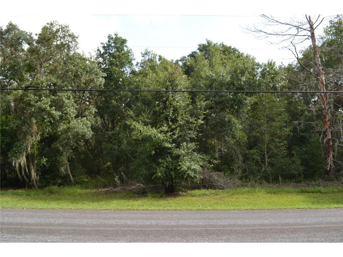 1275 E Amberjack Drive Hernando FL 34442 W7866426 image1