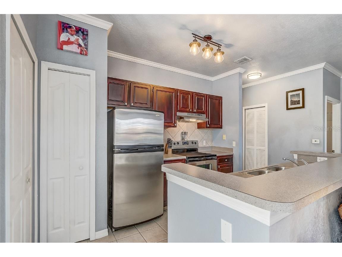 1275 Lake Shadow Circle #13102 Maitland FL 32751 O6360372 image14