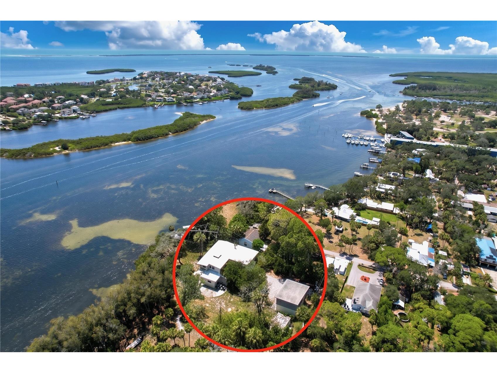 1275 Mickler Lane Tarpon Springs FL 34689 - ANCLOTE RIVER TB8518495 image1