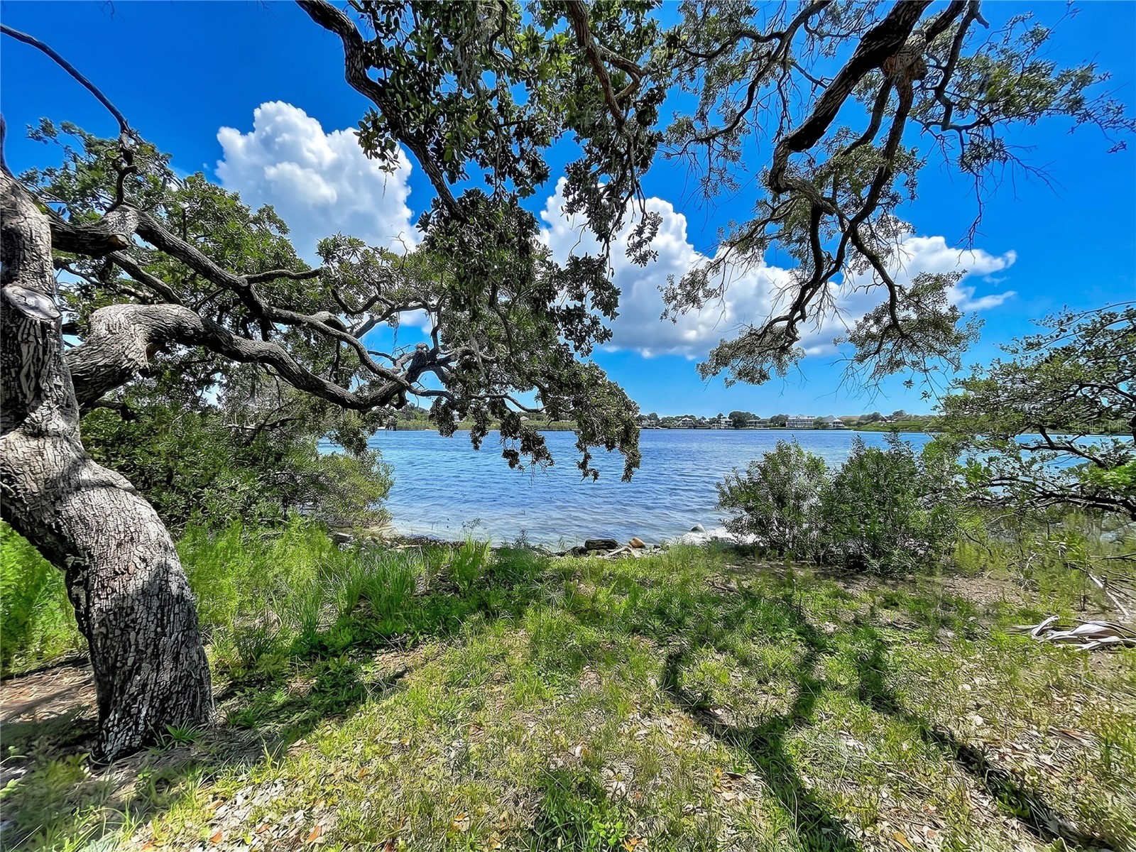 1275 Mickler Lane Tarpon Springs FL 34689 - ANCLOTE RIVER TB8518495 image12