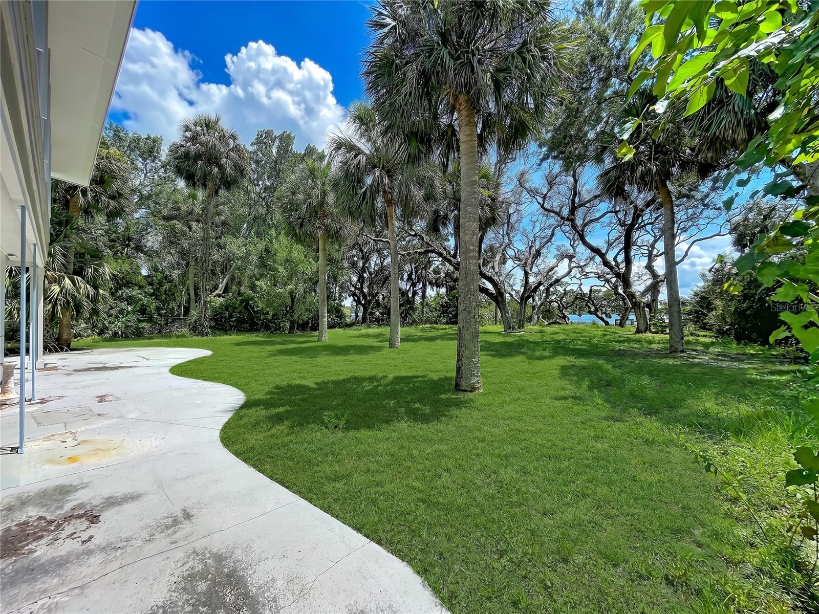 1275 Mickler Lane Tarpon Springs FL 34689 - ANCLOTE RIVER TB8518495 image22