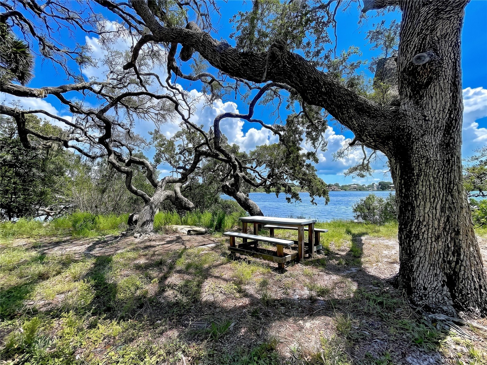 1275 Mickler Lane Tarpon Springs FL 34689 - ANCLOTE RIVER TB8518495 image23