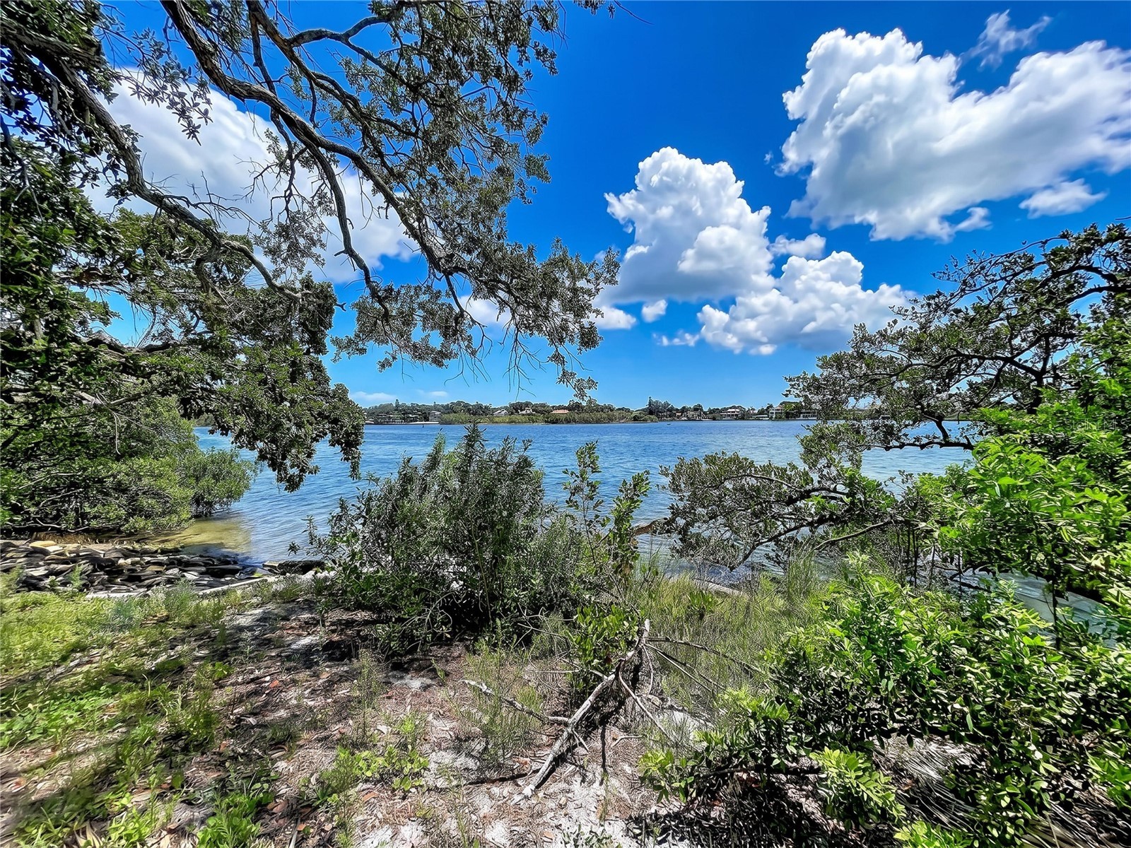 1275 Mickler Lane Tarpon Springs FL 34689 - ANCLOTE RIVER TB8518498 image21