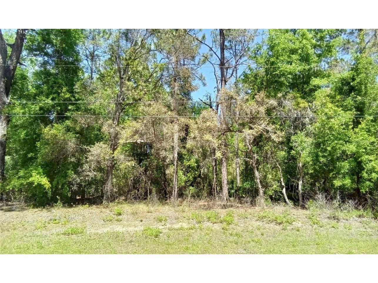 1275 W Union Street Hernando FL 34442 OM677808 image1