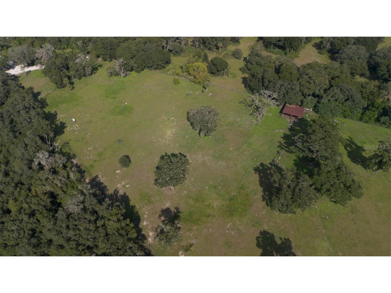 12750 Morris Bridge Road Thonotosassa FL 33592 TB8310437 image5