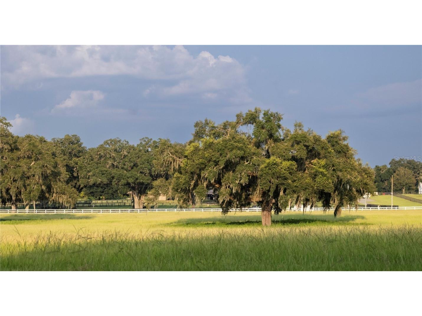 12750 W Highway 40 Ocala FL 34481 OM715626 image19