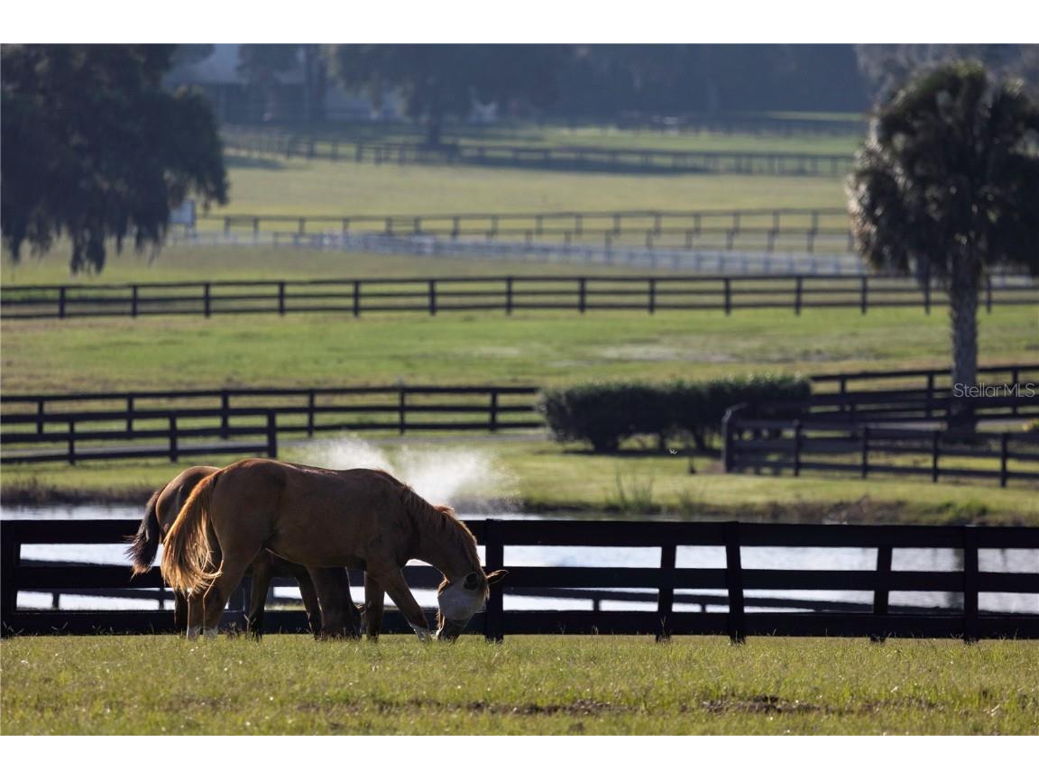 12750 W Highway 40 Ocala FL 34481 OM715626 image25