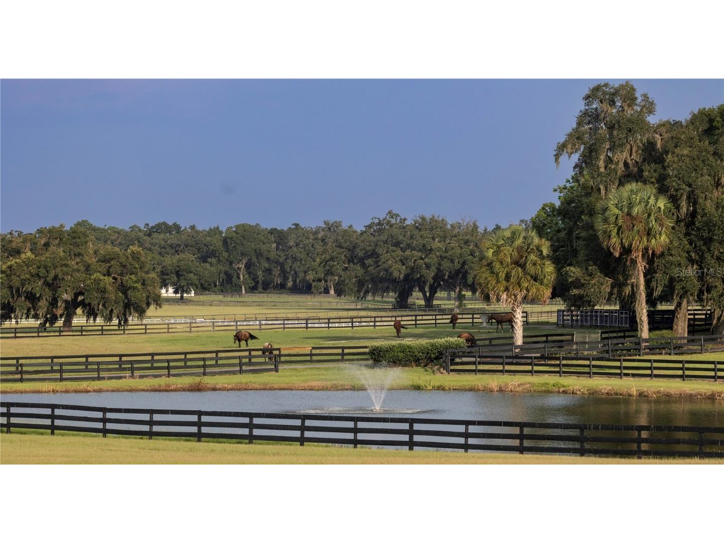 12750 W Highway 40 Ocala FL 34481 OM715626 image29