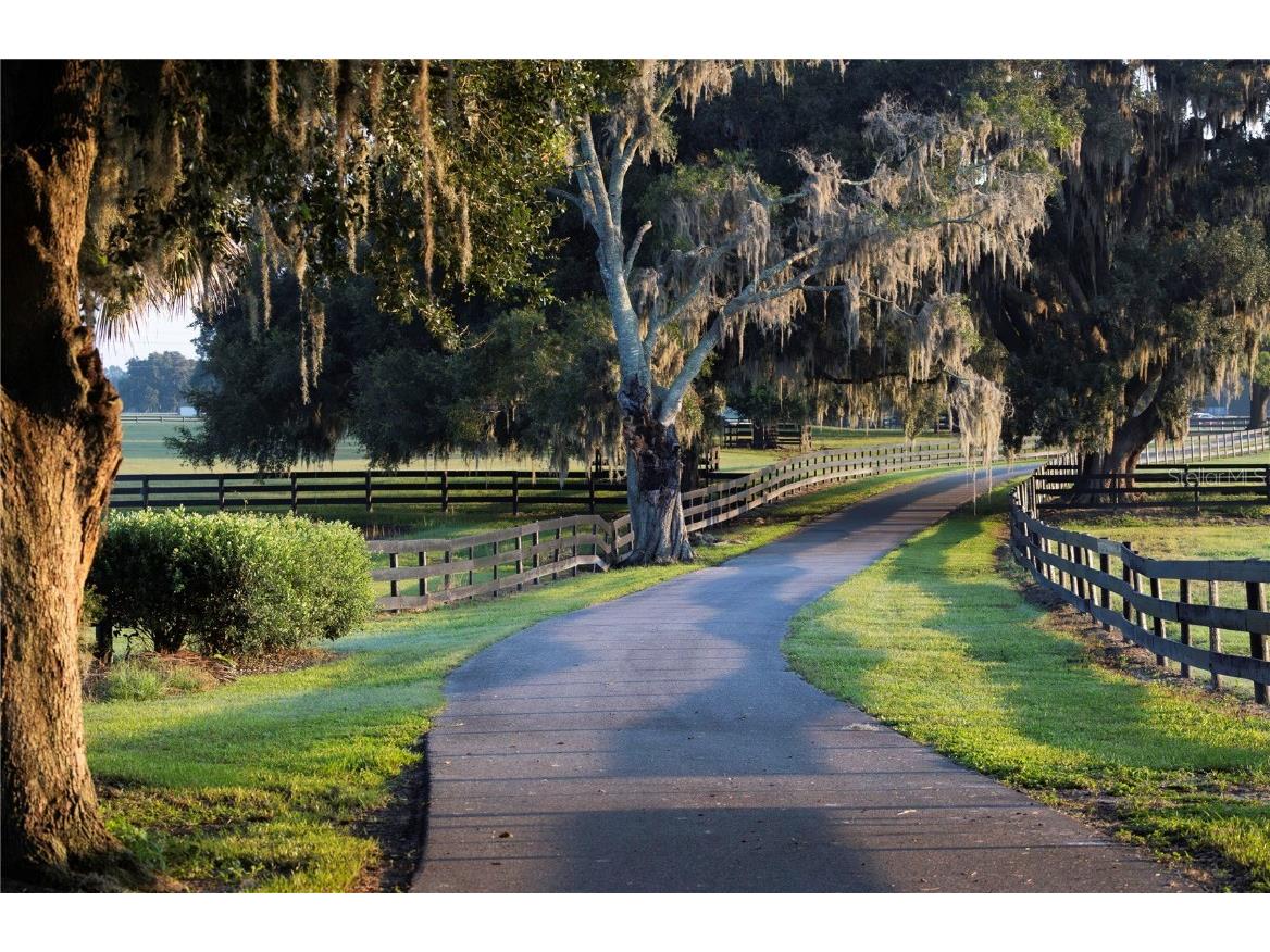 12750 W Highway 40 Ocala FL 34481 OM715626 image4