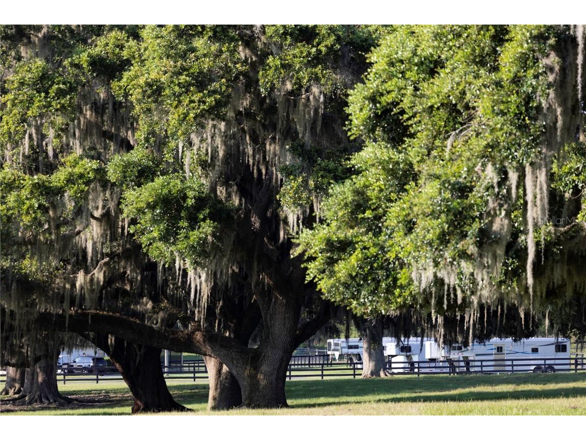 12750 W Highway 40 Ocala FL 34481 OM715626 image46