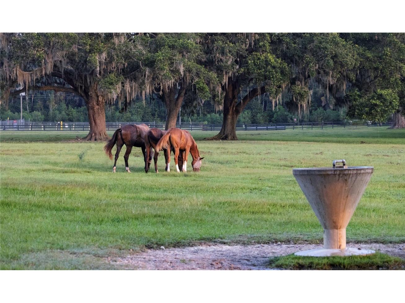 12750 W Highway 40 Ocala FL 34481 OM715626 image6