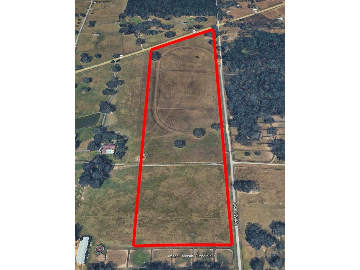 12750 W Highway 40 W Ocala FL 34481 OM719934 image1
