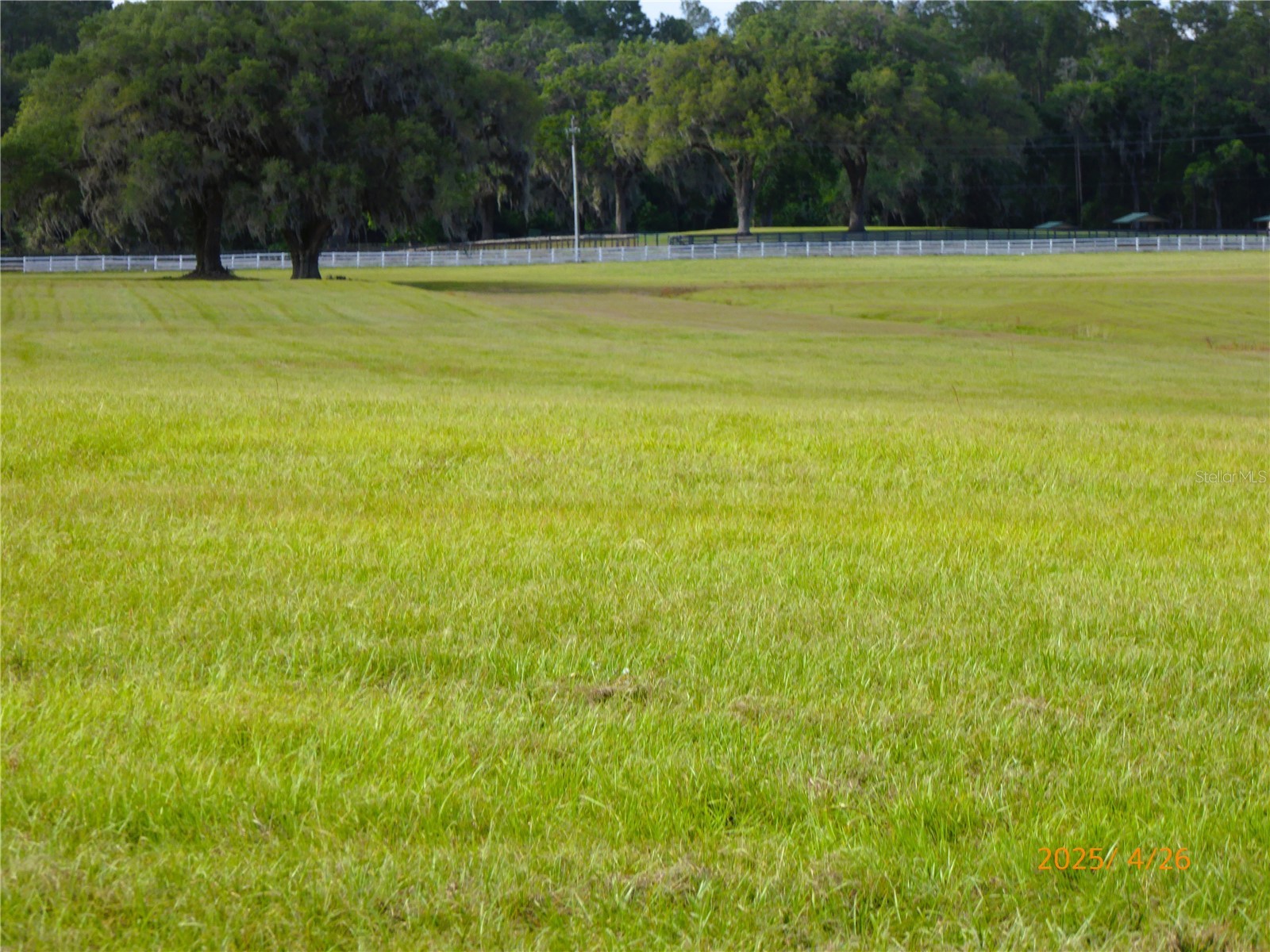 12750 W Highway 40 W Ocala FL 34481 OM719934 image2