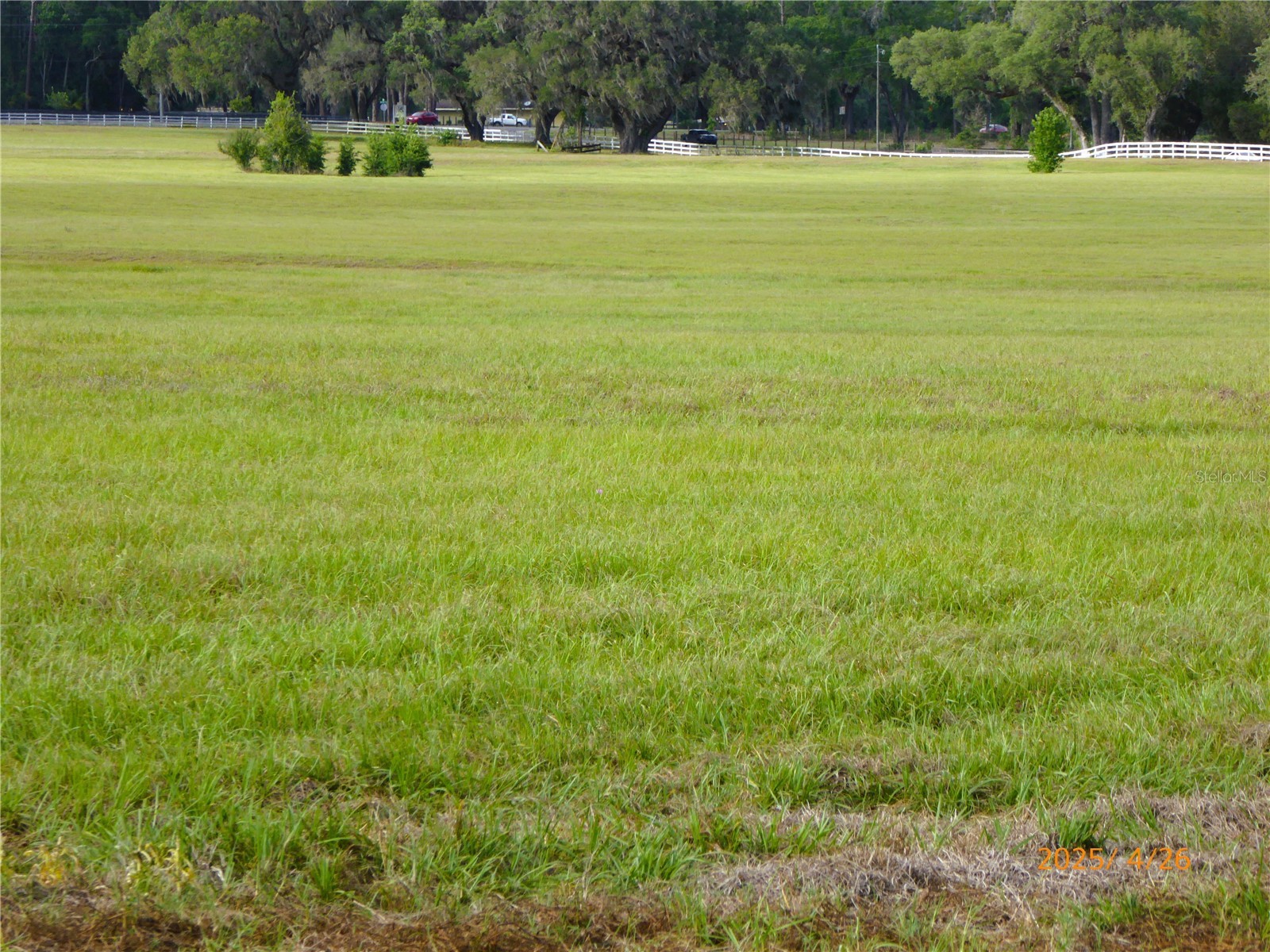 12750 W Highway 40 W Ocala FL 34481 OM719934 image3