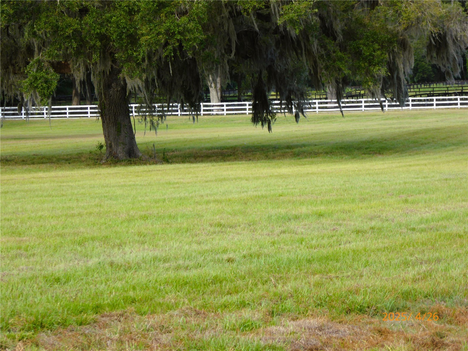 12750 W Highway 40 W Ocala FL 34481 OM719934 image4