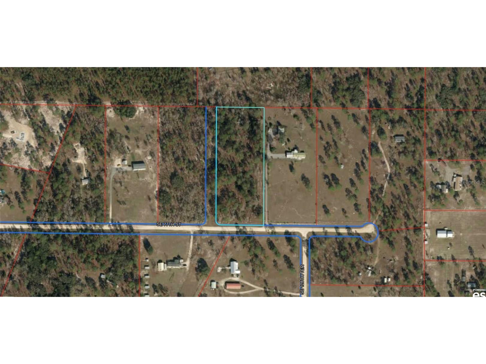 12751 SE 77th Street Morriston FL 32668 O6195956 image1