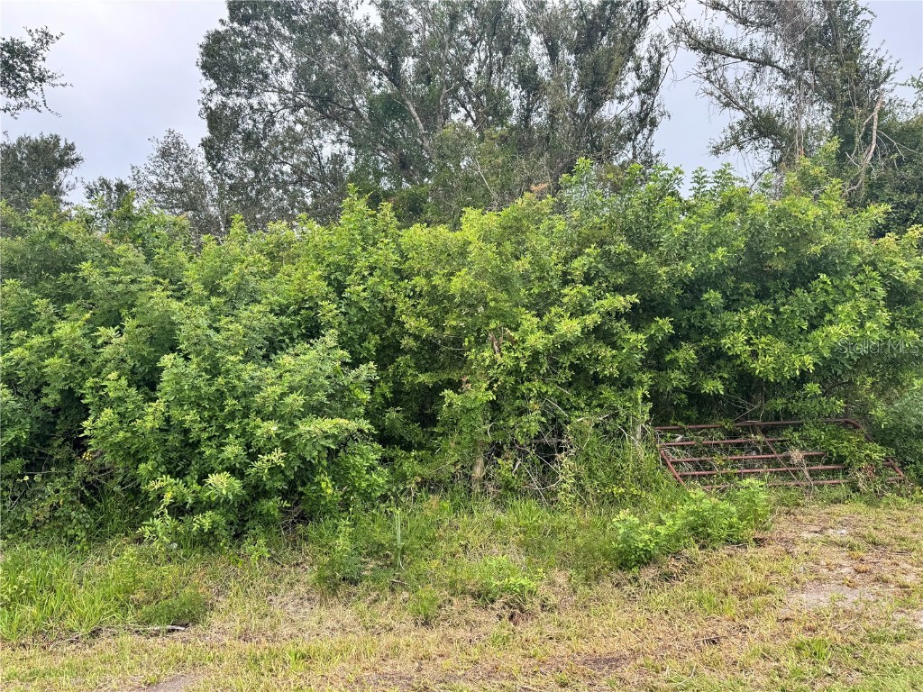 12751 SW Lexington Place Arcadia FL 34269 C7481911 image1