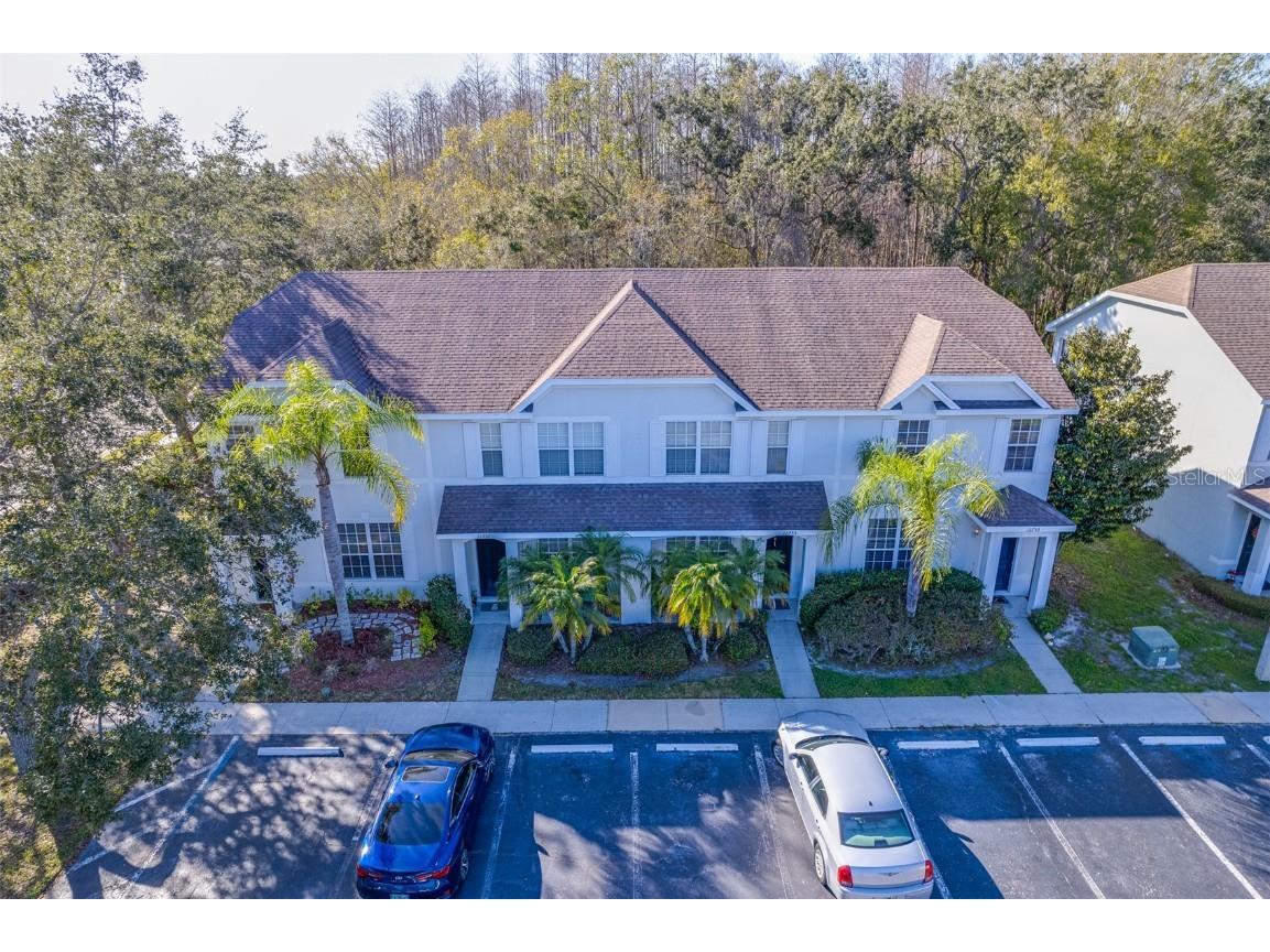 12753 Sunland Court Tampa FL 33625 T3427419 image1