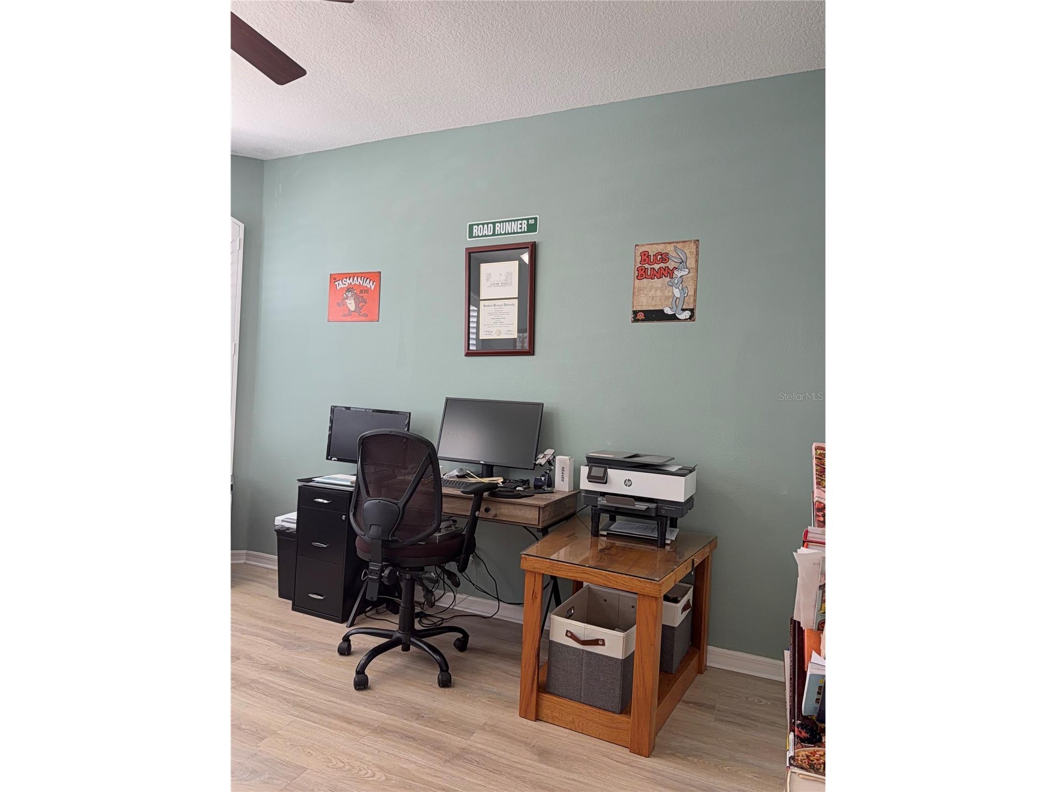 12757 Standbridge Drive Riverview FL 33579 R4911167 image9