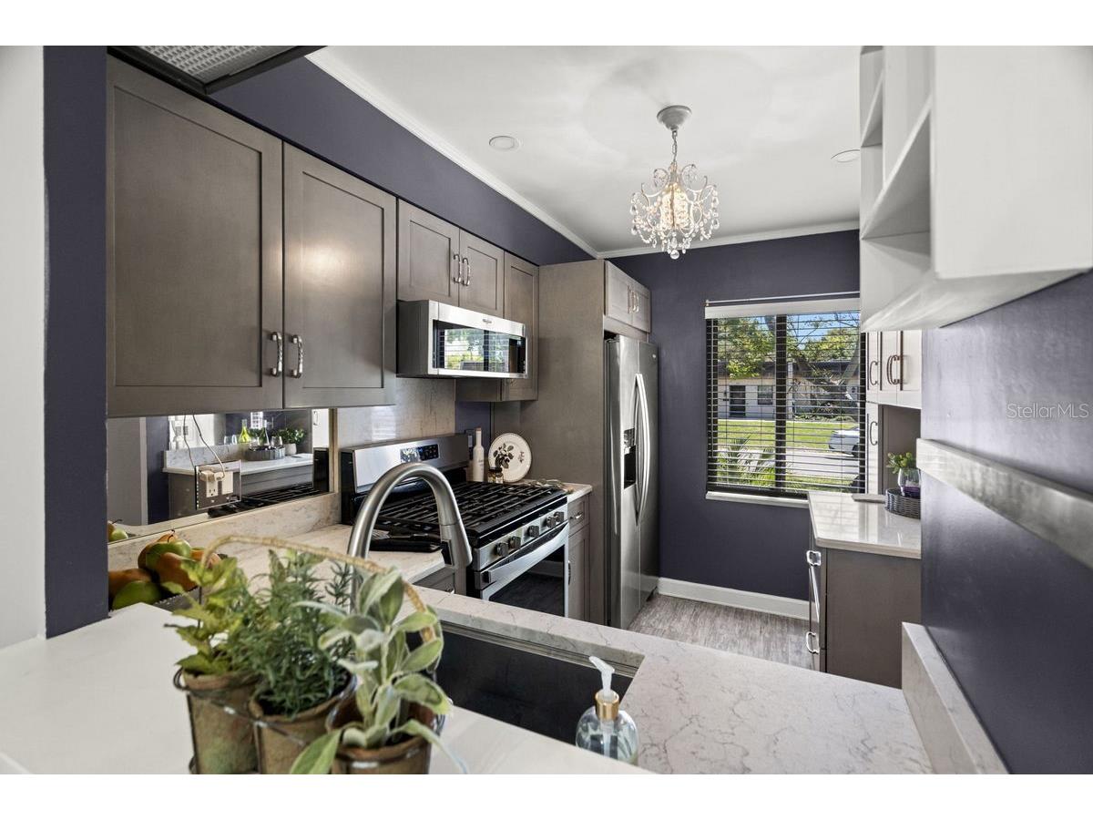 1276 Mission Circle #45A Clearwater FL 33759 TB8488777 image24