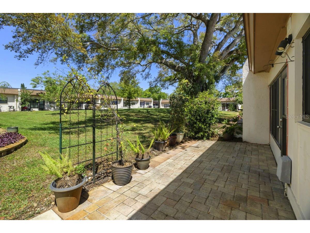 1276 Mission Circle #45A Clearwater FL 33759 TB8488777 image31