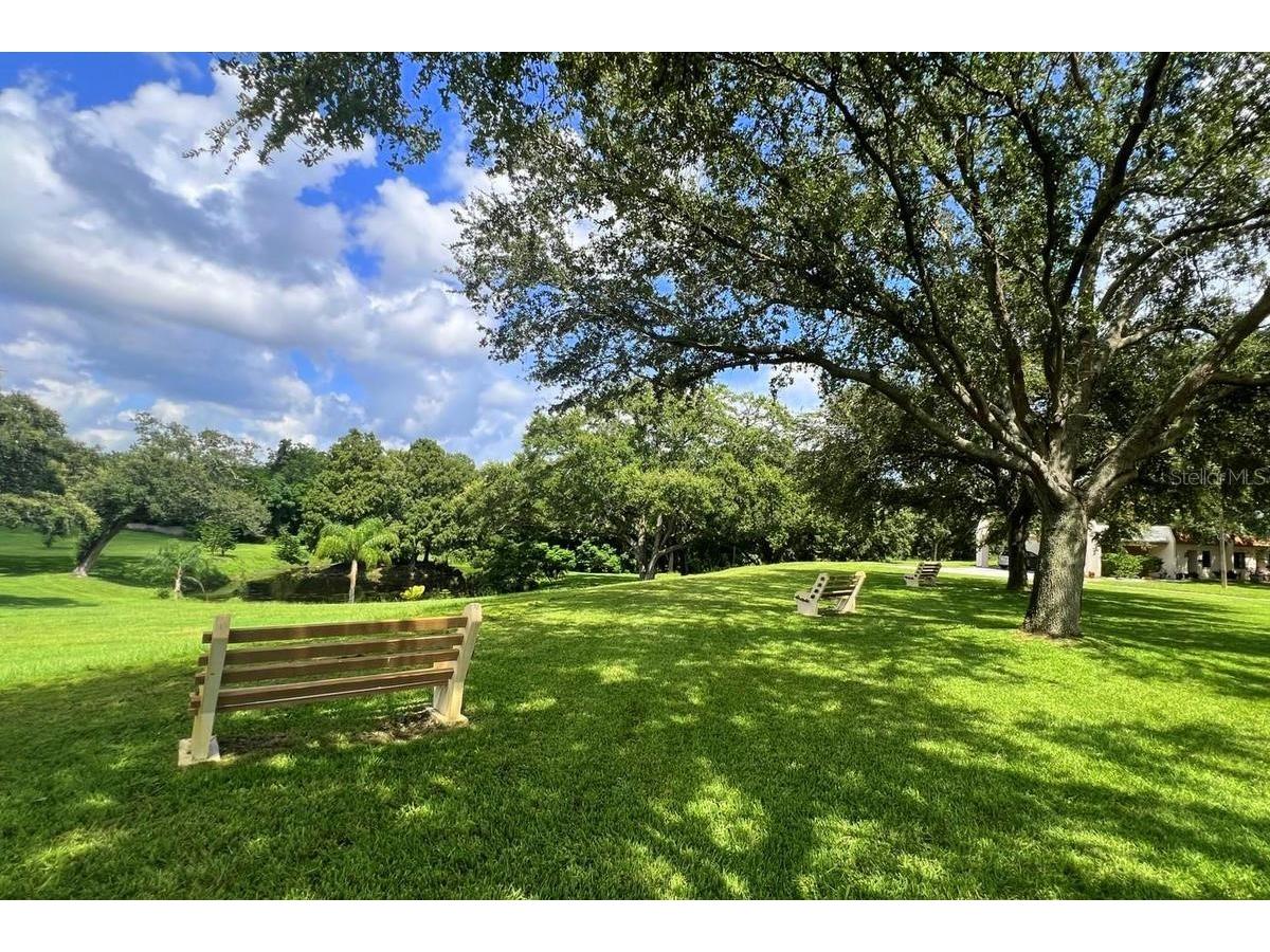 1276 Mission Circle #45A Clearwater FL 33759 TB8488777 image45