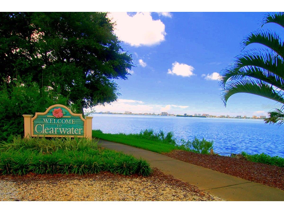 1276 Mission Circle #45A Clearwater FL 33759 TB8488777 image47