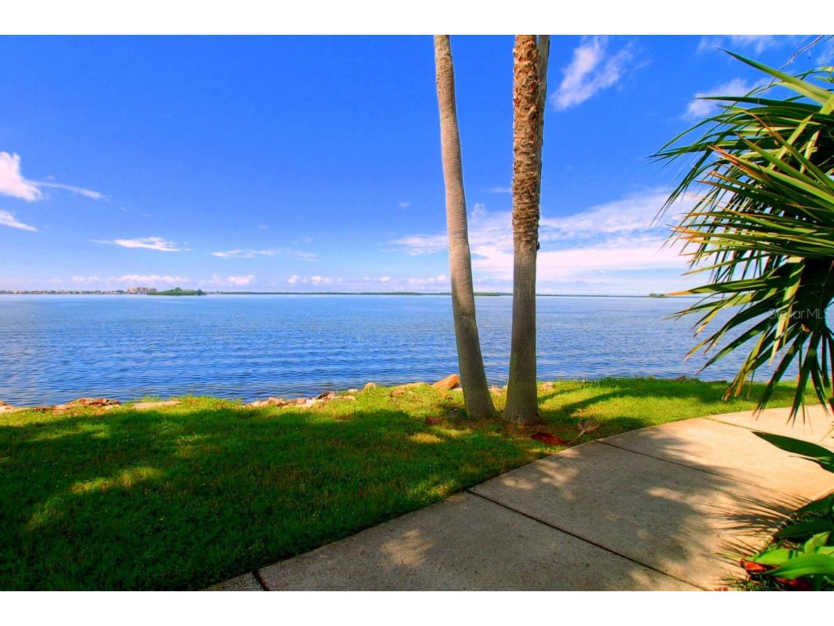 1276 Mission Circle #45A Clearwater FL 33759 TB8488777 image48