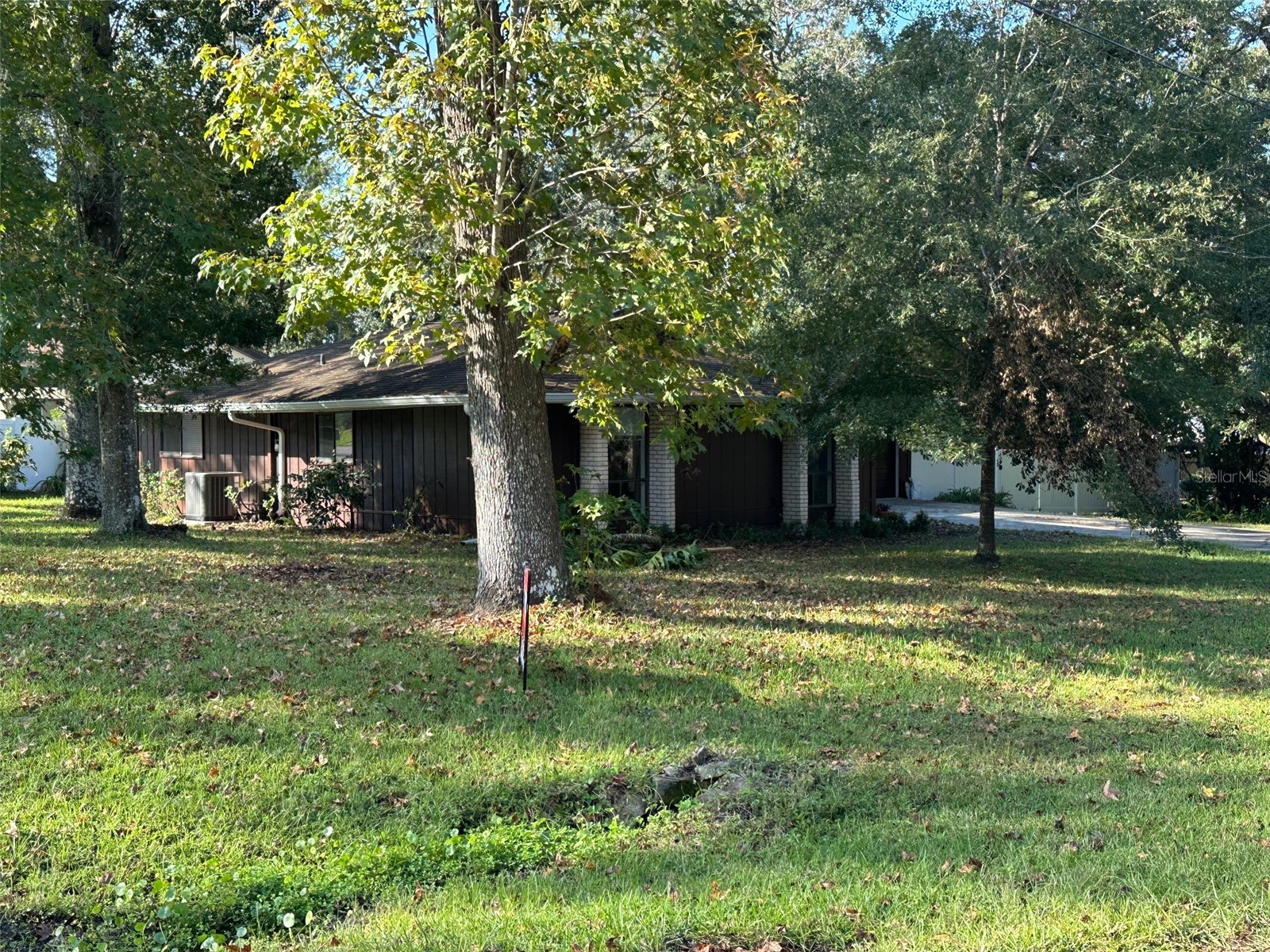 1276 Sabra Drive Brooksville FL 34601 TB8513190 image1