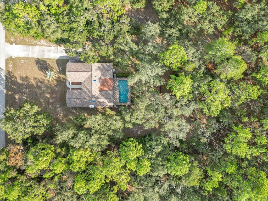 1276 W Pearson Street Hernando FL 34442 OM706150 image76