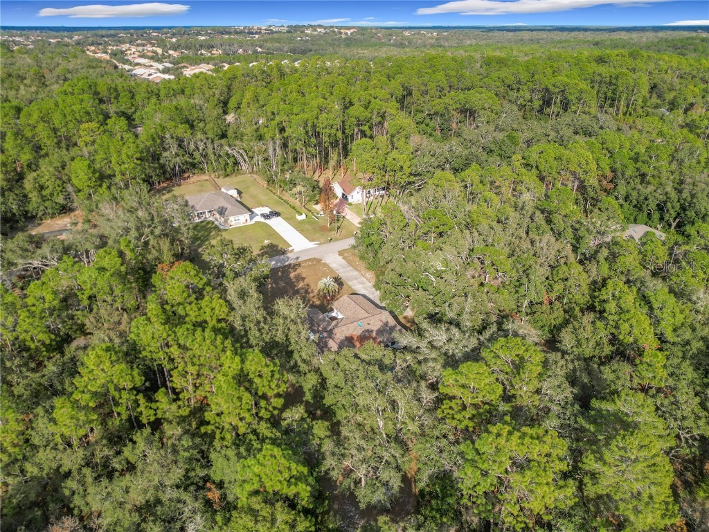 1276 W Pearson Street Hernando FL 34442 OM706150 image78