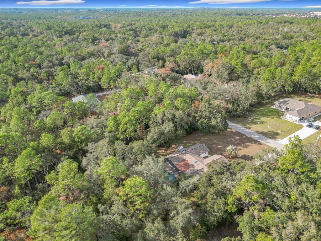 1276 W Pearson Street Hernando FL 34442 OM706150 image80