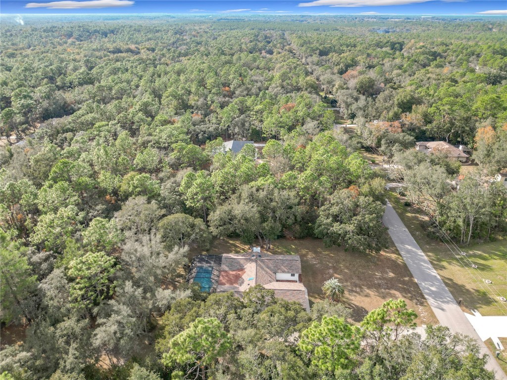 1276 W Pearson Street Hernando FL 34442 OM706150 image81