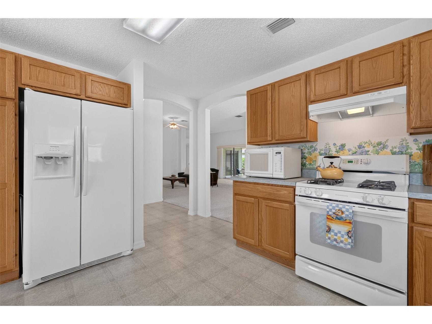 1276 Weaton Court The Villages FL 32162 G5115105 image11