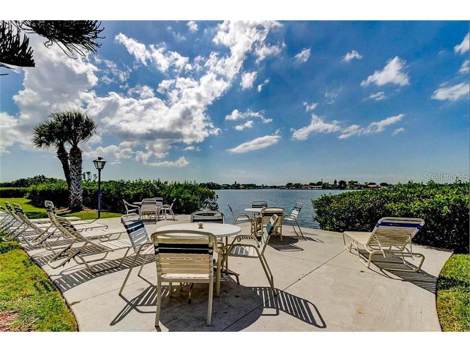 12760 Indian Rocks Road #1030 (FURNISHED) Largo FL 33774 TB8355856 image50