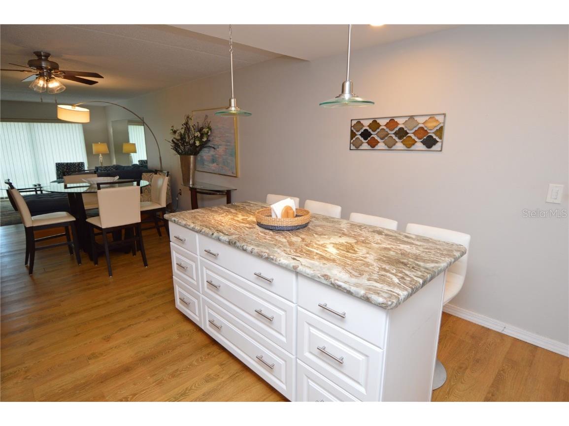 12760 Indian Rocks Road #1034 Largo FL 33774 TB8415934 image13