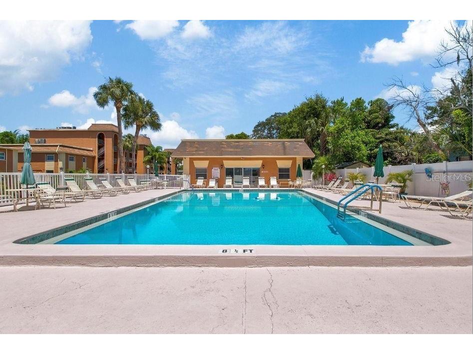 12760 Indian Rocks Road #1110 Largo FL 33774 TB8470729 image88