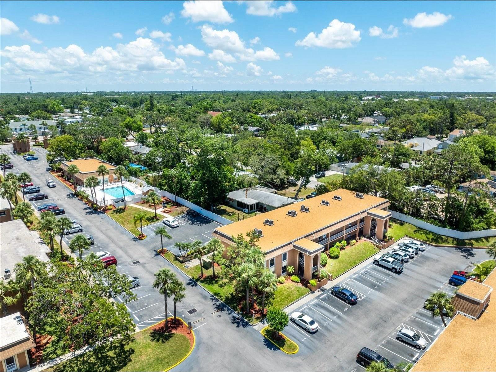 12760 Indian Rocks Road #409 Largo FL 33774 TB8523931 image41
