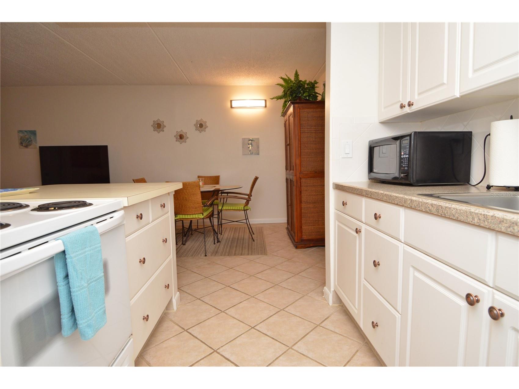 12760 Indian Rocks Road #553 Largo FL 33774 TB8469331 image10