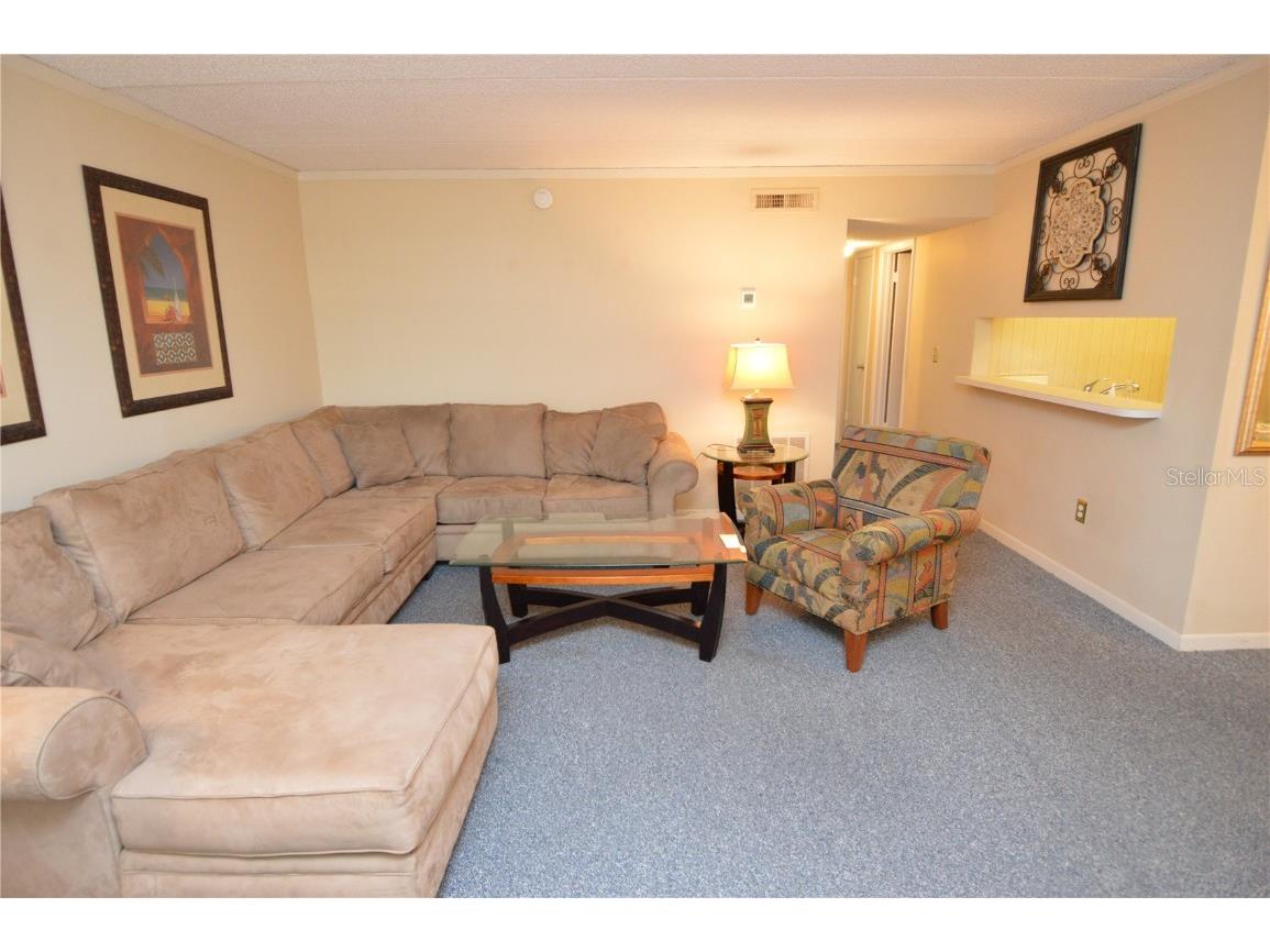 12760 Indian Rocks Road #573 Largo FL 33774 TB8419960 image17